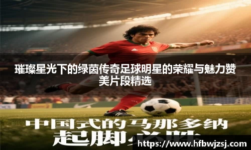 璀璨星光下的绿茵传奇足球明星的荣耀与魅力赞美片段精选